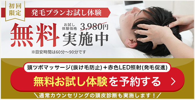 今すぐ予約
