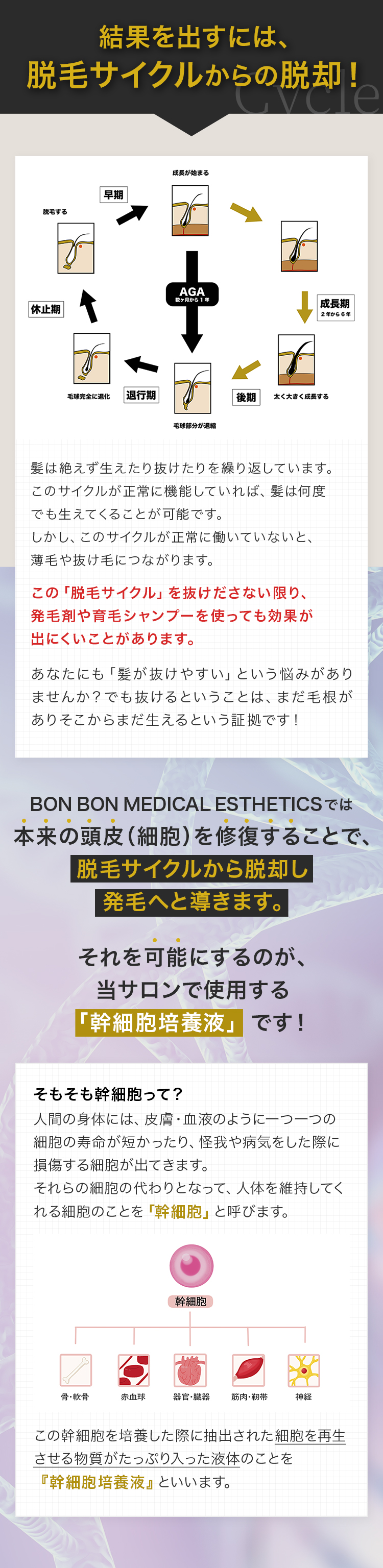 結果を出すには脱毛サイクルからの脱却